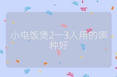 小電飯煲2一3人用的哪種好