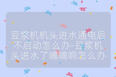 豆漿機機頭進水通電后不啟動怎么辦-豆漿機頭進水了嘀嘀響怎么辦