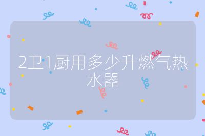 2衛1廚用多少升燃氣熱水器