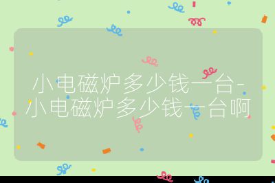 小電磁爐多少錢一臺-小電磁爐多少錢一臺啊