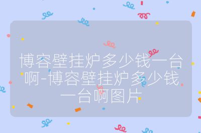 博容壁掛爐多少錢一臺啊-博容壁掛爐多少錢一臺啊圖片