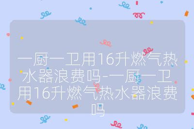 一廚一衛用16升燃氣熱水器浪費嗎-一廚一衛用16升燃氣熱水器浪費嗎