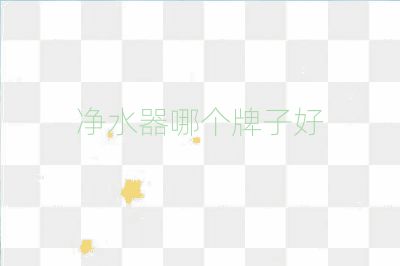 凈水器哪個牌子好