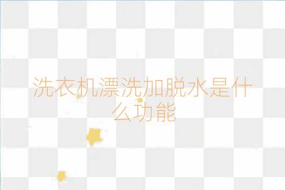 洗衣機漂洗加脫水是什么功能