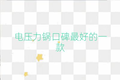 電壓力鍋口碑最好的一款