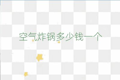 空氣炸鍋多少錢一個