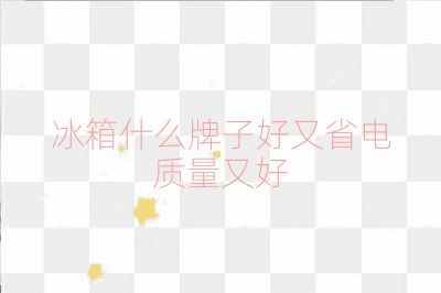 冰箱什么牌子好又省電質量又好