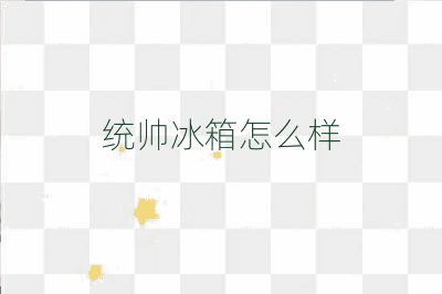 統帥冰箱怎么樣