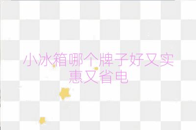 小冰箱哪個牌子好又實惠又省電