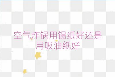 空氣炸鍋用錫紙好還是用吸油紙好