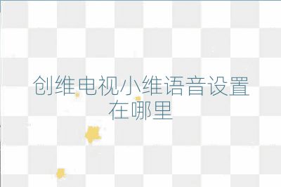 創維電視小維語音設置在哪里