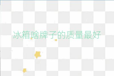 冰箱啥牌子的質量最好