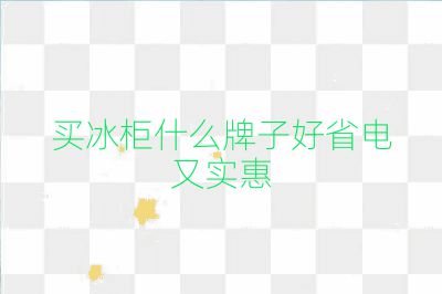 買冰柜什么牌子好省電又實惠