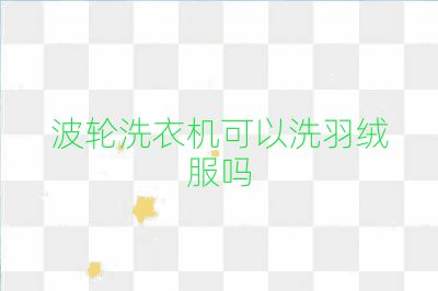 波輪洗衣機可以洗羽絨服嗎