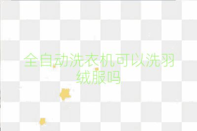 全自動洗衣機可以洗羽絨服嗎